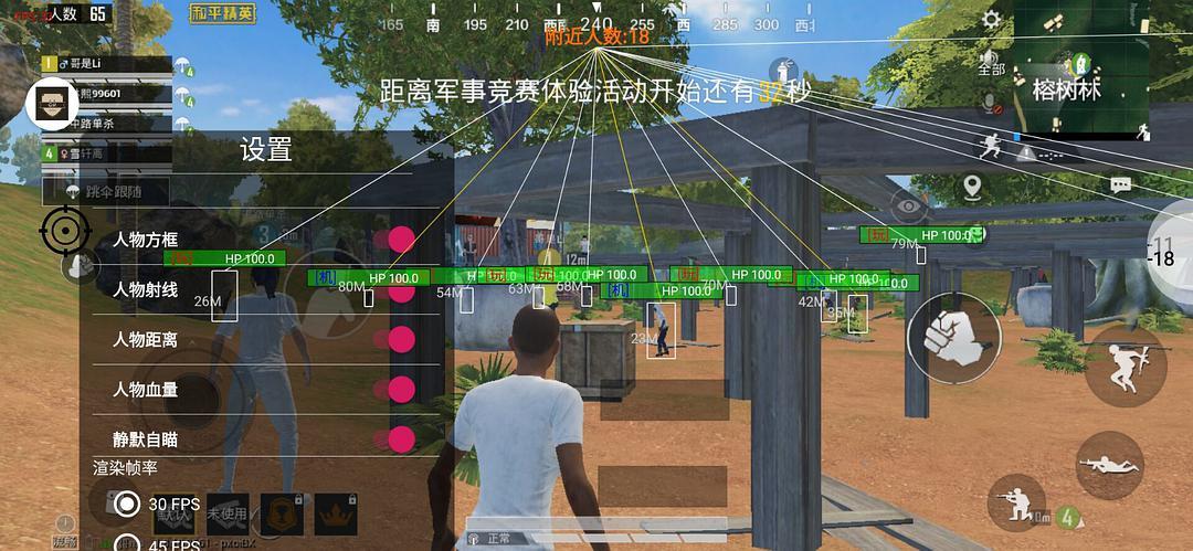 和平精英《火锅》辅助