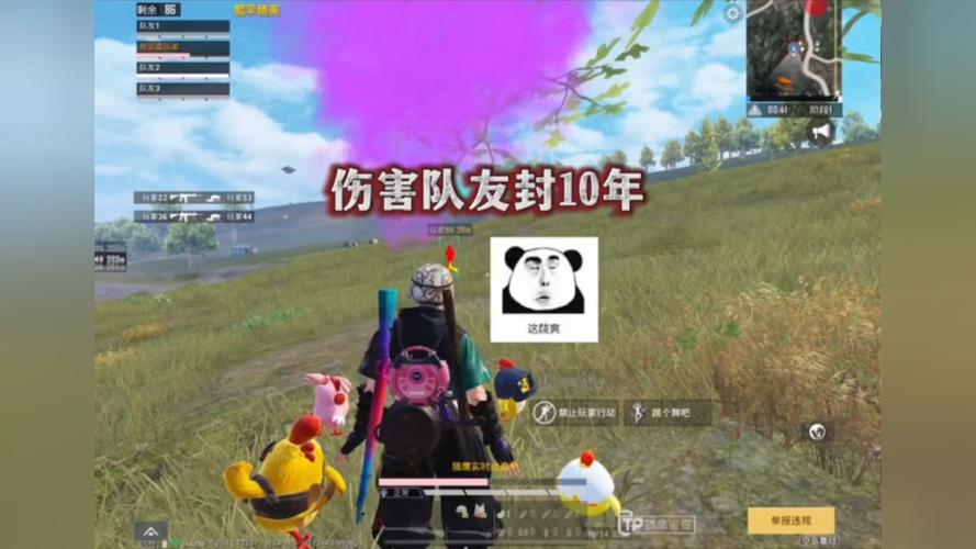 和平精英ios《挑战者》辅助完美上分皇冠
